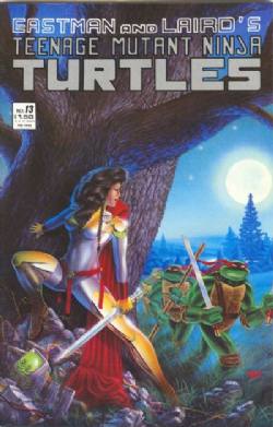 Teenage Mutant Ninja Turtles Volume 1 (1984) 13