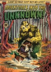 Adventures Into The Unknown [ACG] (1948) 24