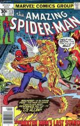 The Amazing Spider-Man [Marvel] (1963) 173 (Newsstand Edition)