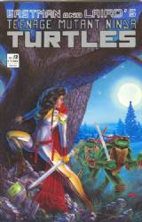 Teenage Mutant Ninja Turtles Volume 1 (1984) 13