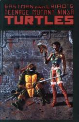 Teenage Mutant Ninja Turtles Volume 1 (1984) 44