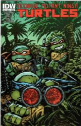 Teenage Mutant Ninja Turtles (2011) 43 (Cover B)